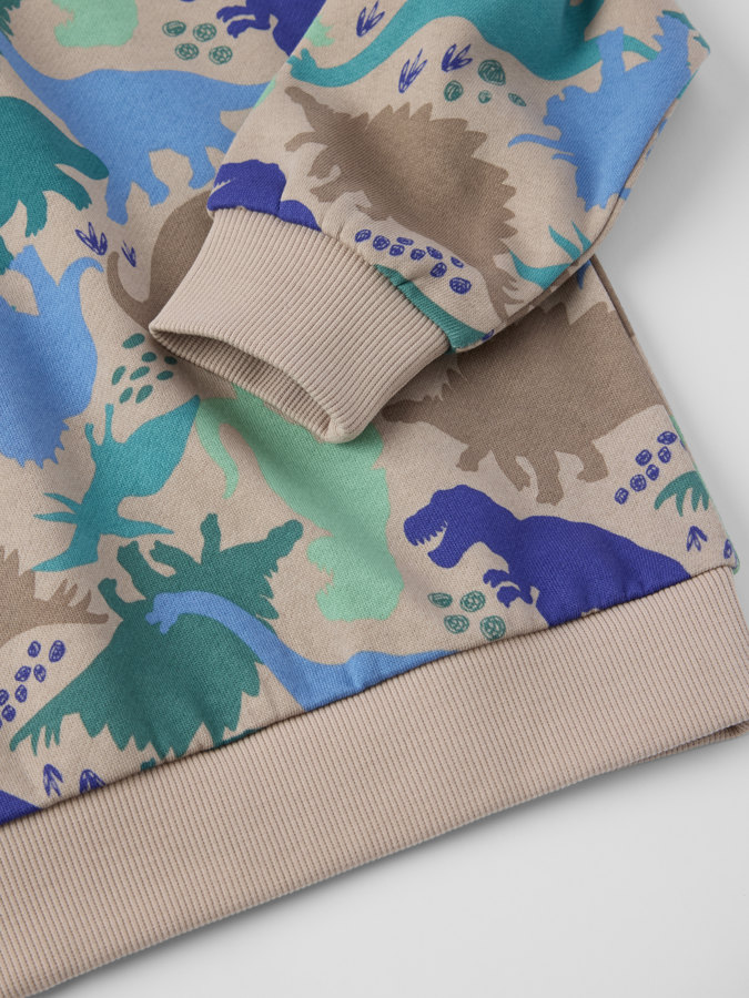 Collegepaita dinosaurukset