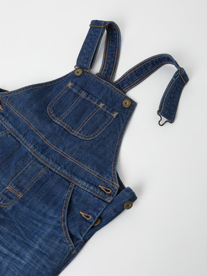 Lappuhaalari Lappuhaalari