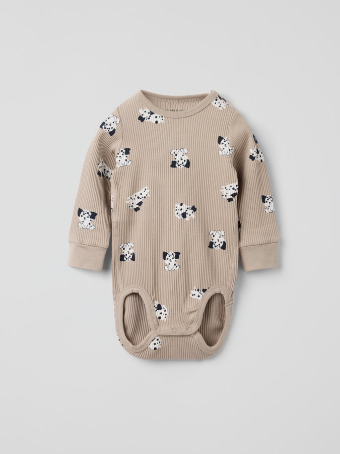 Ribattu body dalmatialainen