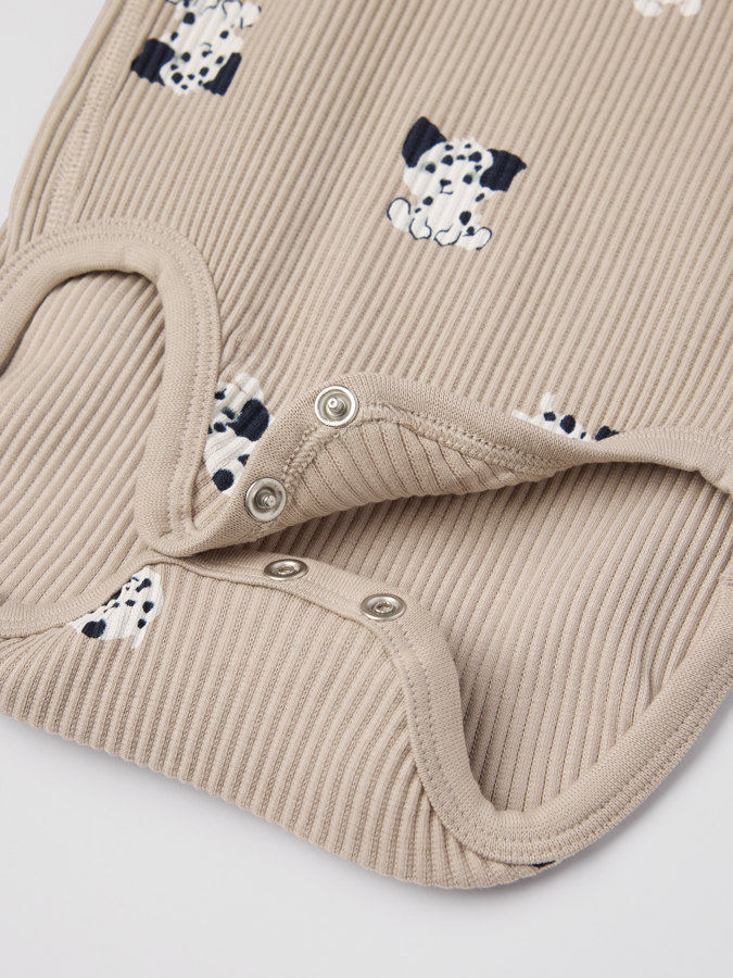 Ribattu body dalmatialainen