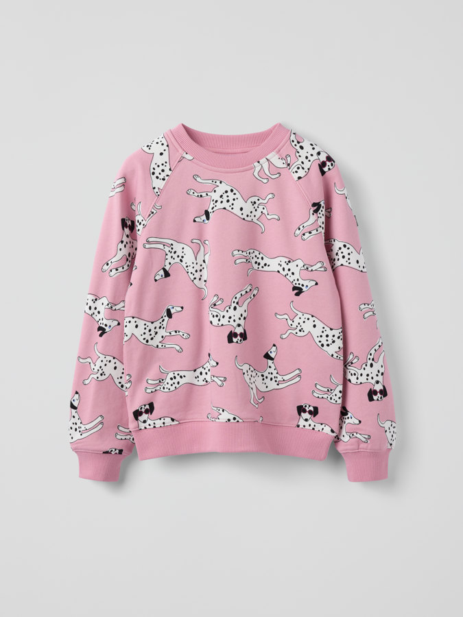 Collegepaita dalmatialaiset