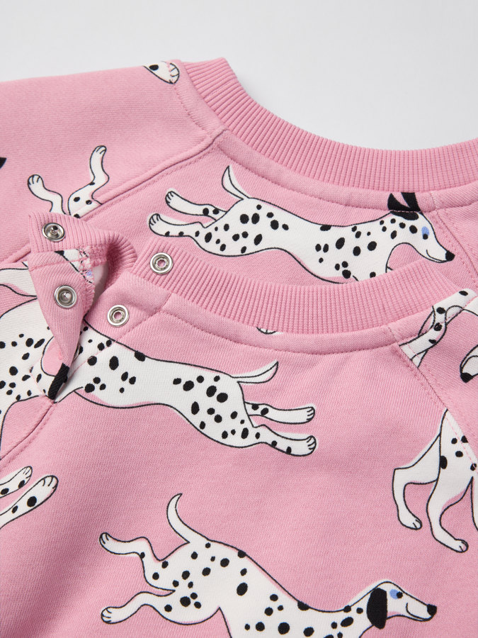 Collegepaita dalmatialaiset