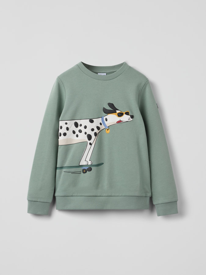 Collegepaita dalmatialainen