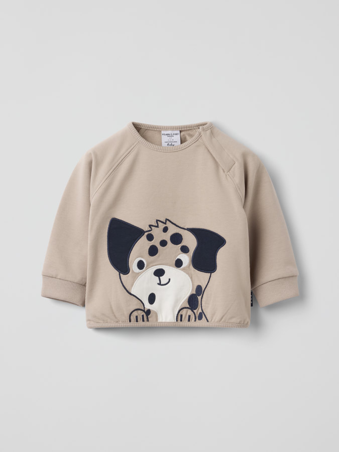 Collegehaalari dalmatialainen taskulla