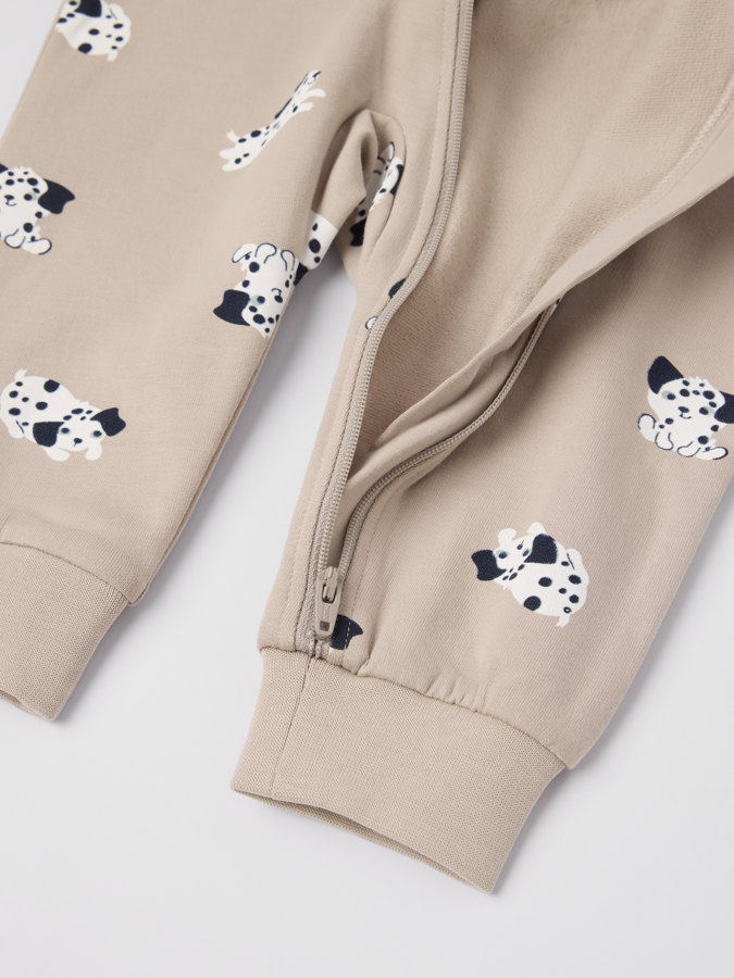 Collegehaalari dalmatialainen taskulla