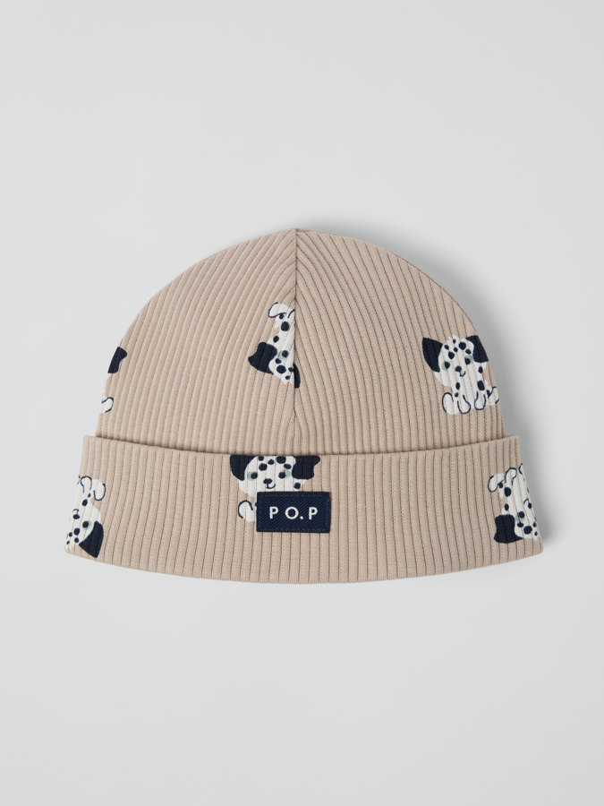 Pipo dalmatialainen