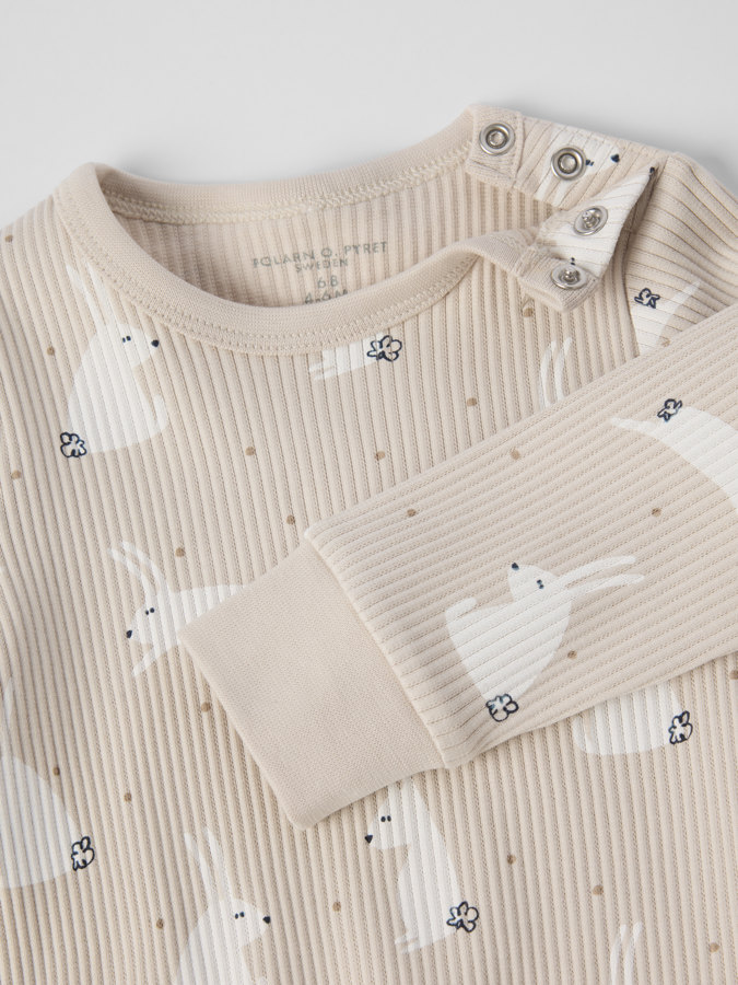 Ribbibody pupu Ribbibody pupu