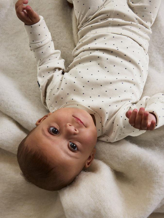 Ribbibody pilkullinen