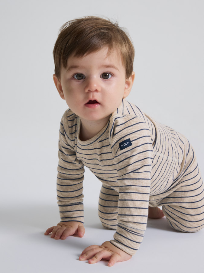 Ribbibody raidallinen