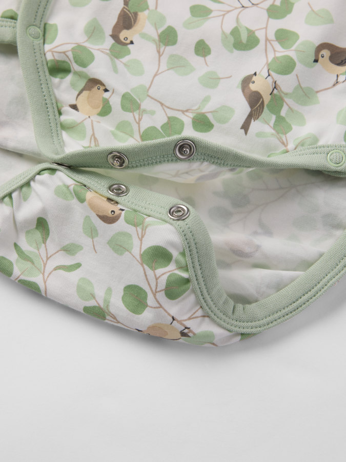 Kietaisubody linnut Kietaisubody linnut