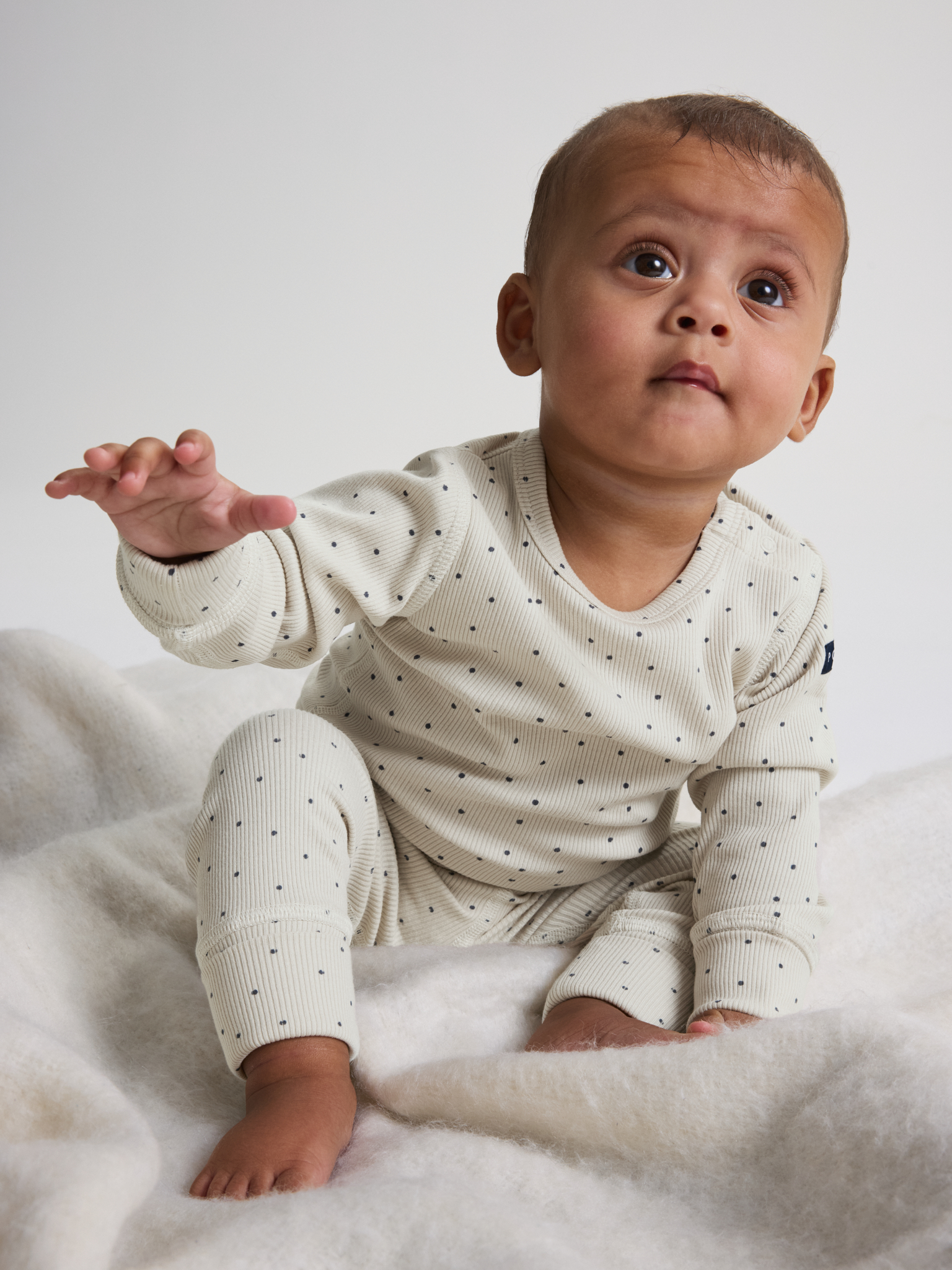 Ribbibody pilkullinen