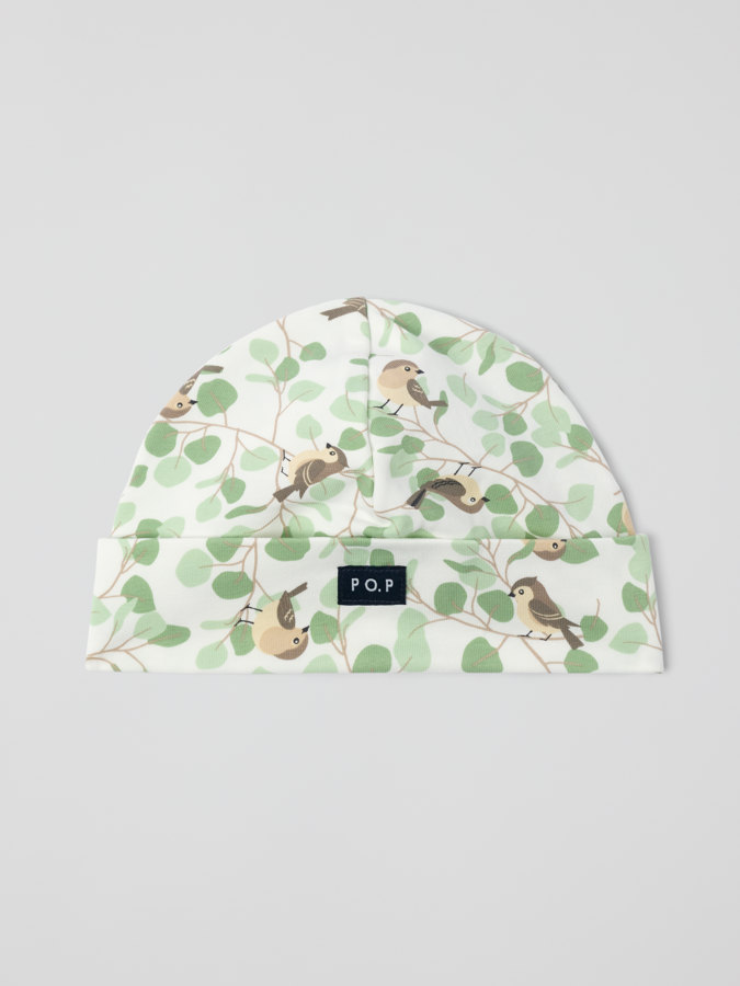 Trikoopipo linnut Trikoopipo linnut