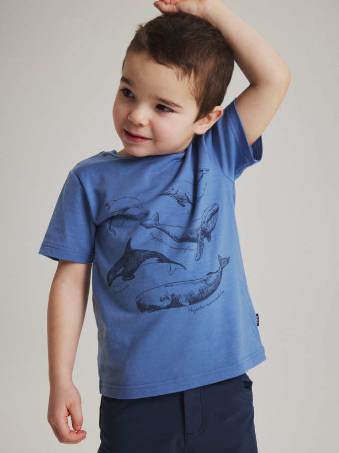 T-paita villasekoite