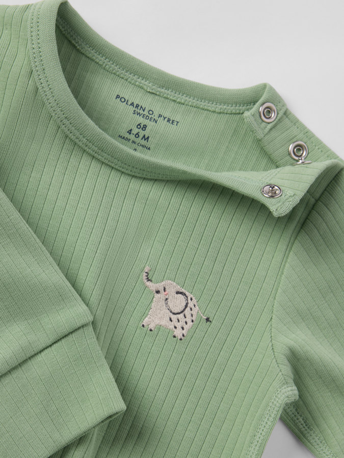 Ribbibody elefantti Ribbibody elefantti