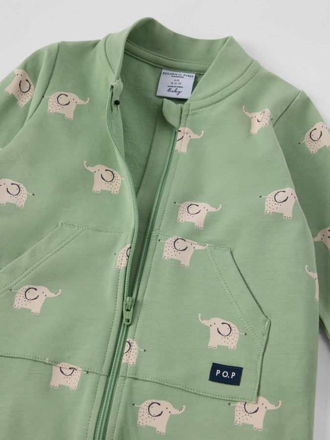 Collegethaalari elefantti