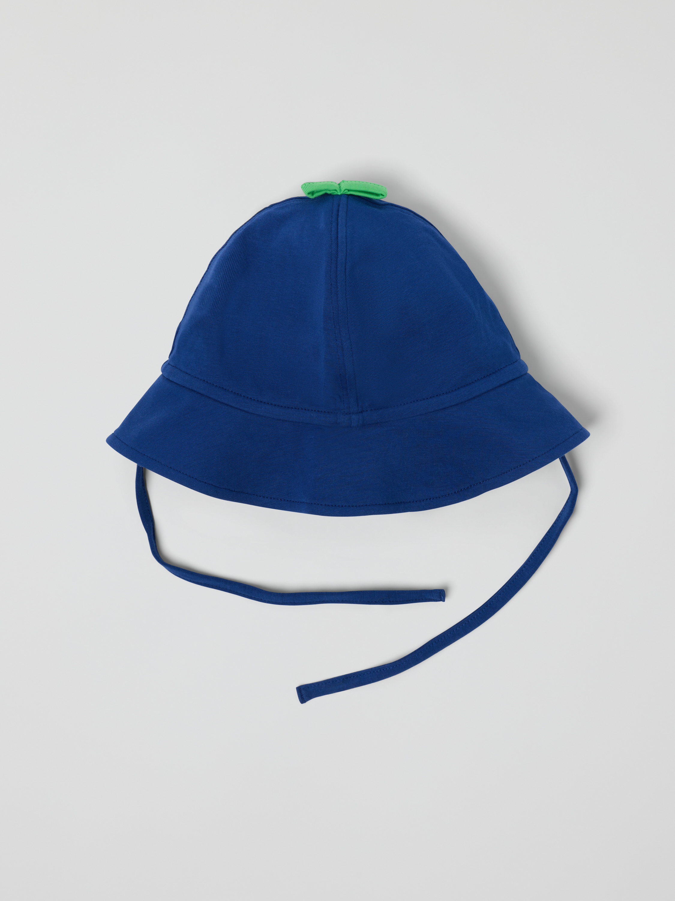 Aurinkohattu mustikka