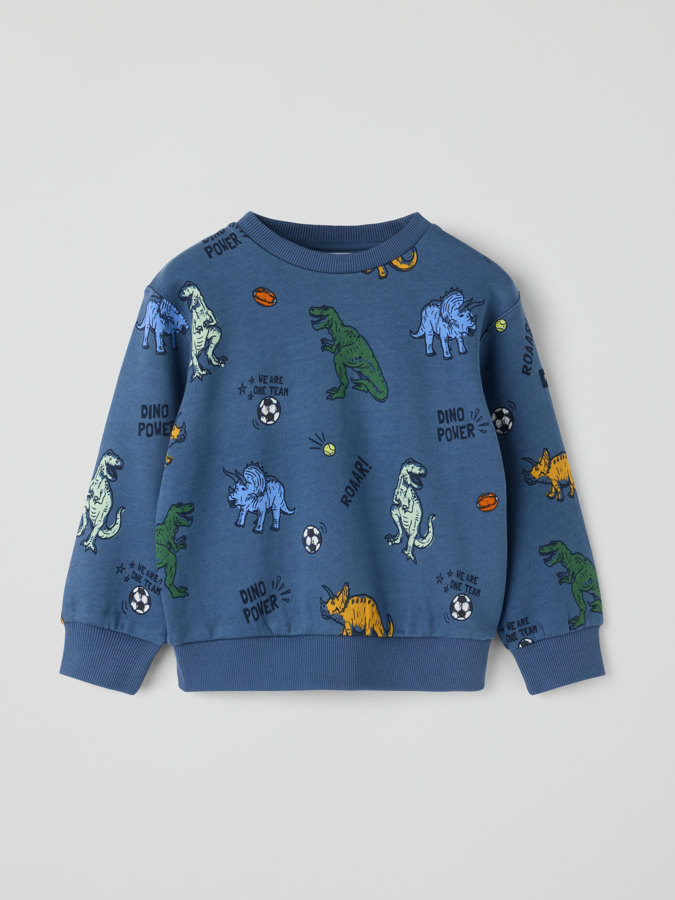 Collegepaita dinosaurukset