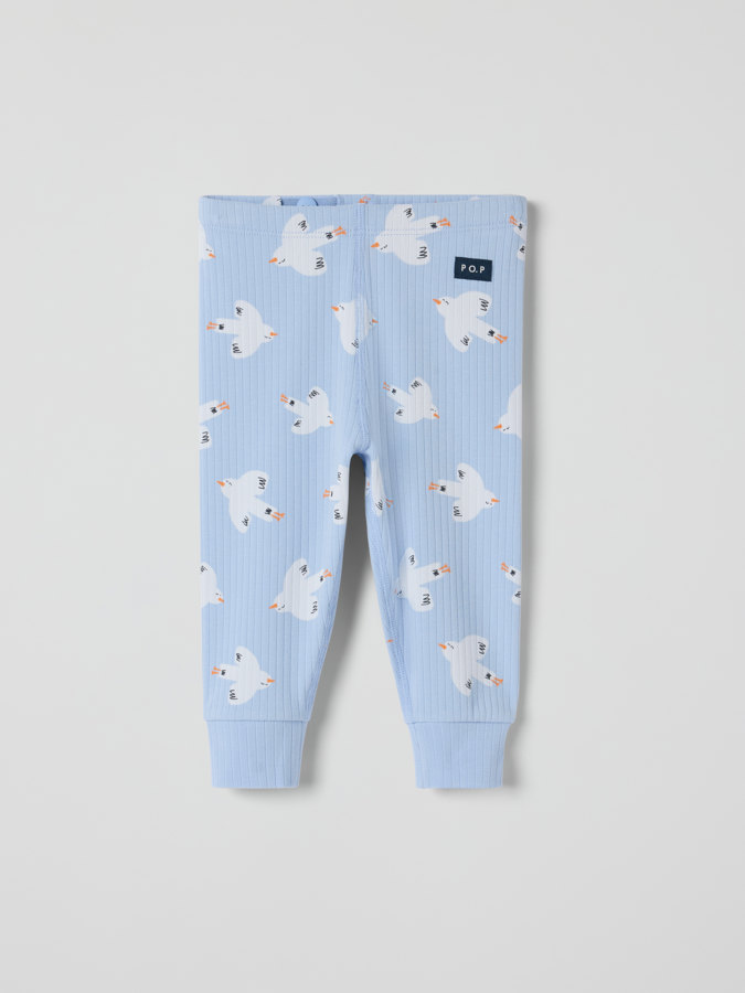 Ribbihousut linnut Ribbihousut linnut