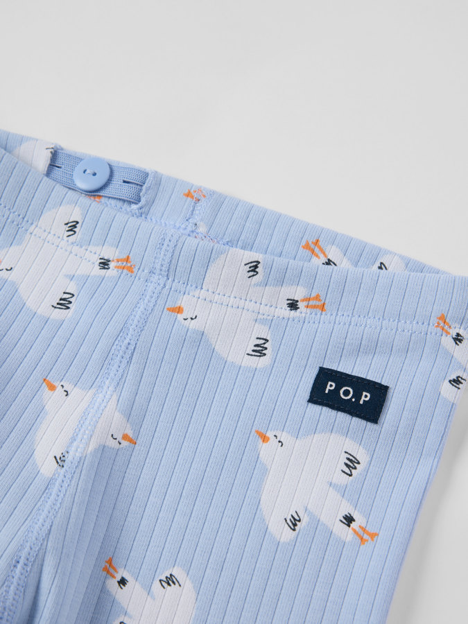 Ribbihousut linnut Ribbihousut linnut