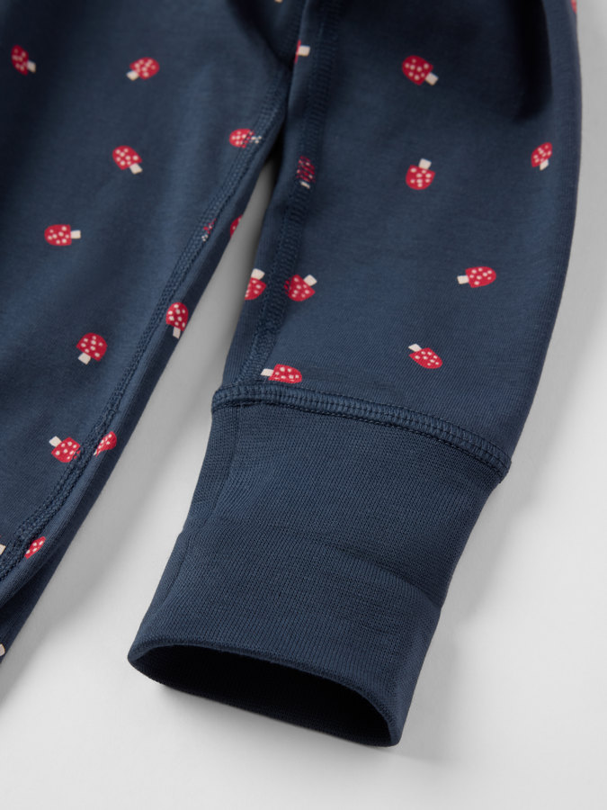 Laajennettava body sienillä Laajennettava body sienillä