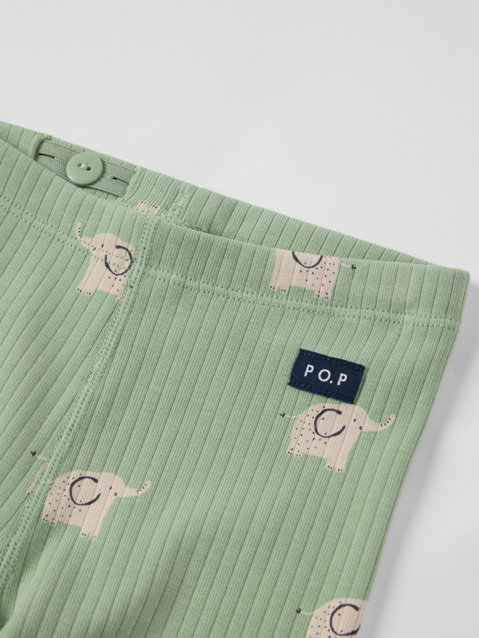 Ribbihousut elefantit Ribbihousut elefantit