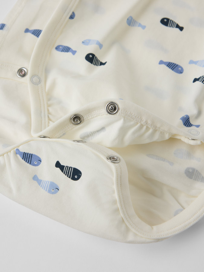 Kietaisubody kalat Kietaisubody kalat