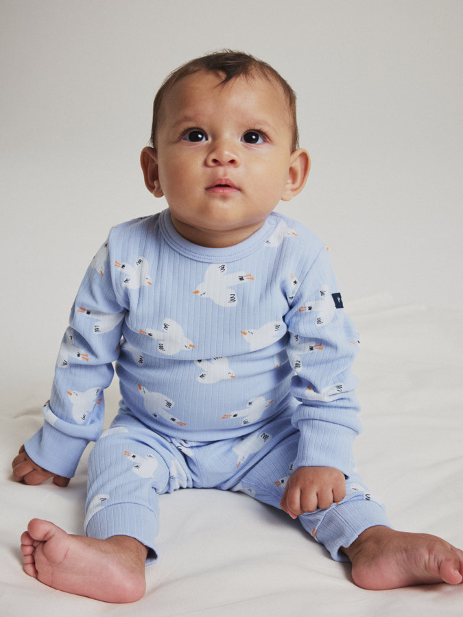 Ribbibody linnut Ribbibody linnut